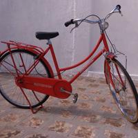 Bicicletta inglese passport femminile