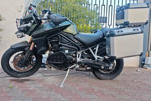 Triumph Tiger 