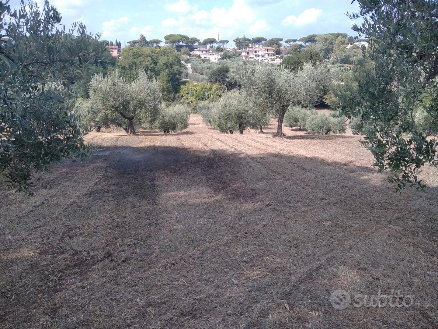 Terreno agricolo edificabile - Ansicht 6