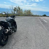 Honda hornet 750