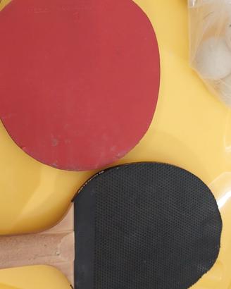 Set ping pong tavolo