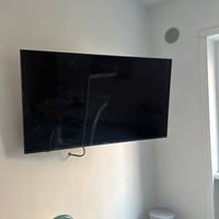 Samsung 55 pollici