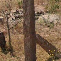 Pietre trachite da recinzione 
