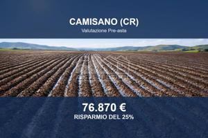 Immobile in asta di 17660 m² a Camisano