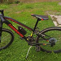 bicicletta 