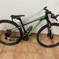 Specialized stumpjumper