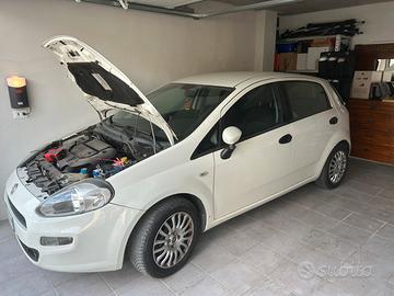 Fiat Grande Punto neo patentati