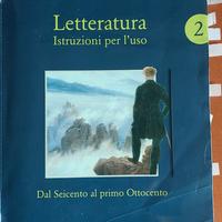 Letteratura istruzioni per l'uso vol 2 ed SEI