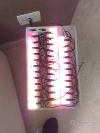 Lotto lampadine vintage per albero di Natale