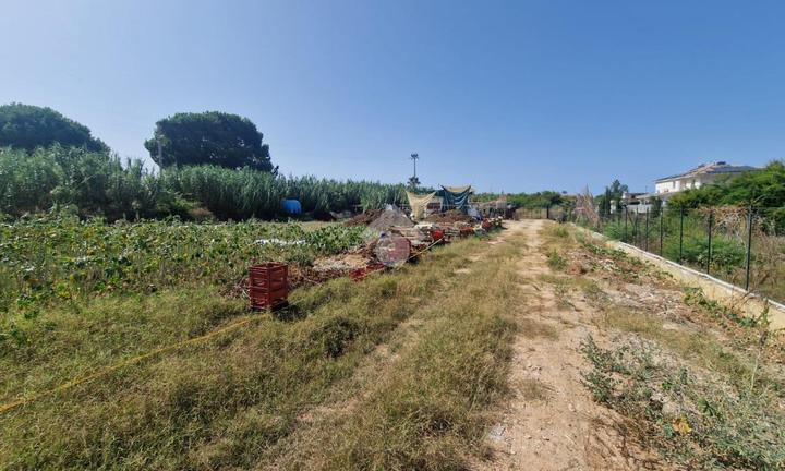 TER. AGRICOLO A CARINI