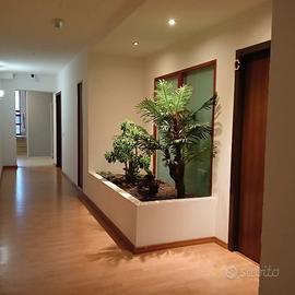 Monolocale 550,00, mensile