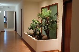 Monolocale 550,00, mensile