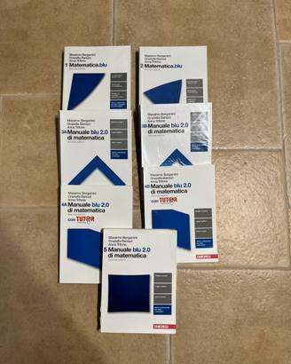Lotto manuale blu di matematica