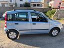 fiat-panda-1-2-dynamic-con-clima