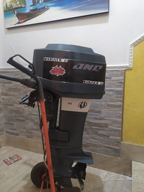 Fuoribordo mariner-Mercury