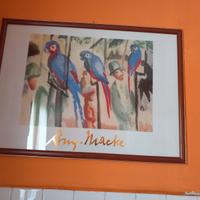 Quadri- stampe con cornice