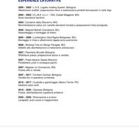 Candidatura lavoro 
