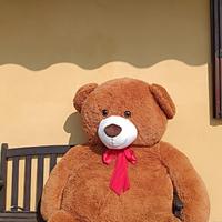 orso peluche gigante 