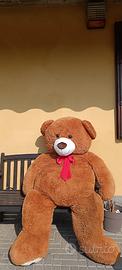 orso peluche gigante 