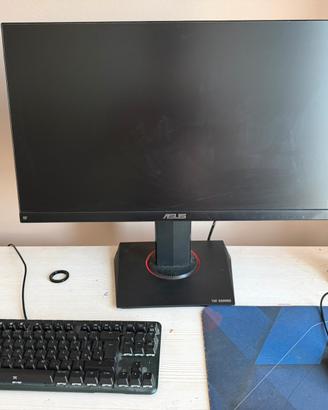 monitor asus tuf gaming 144hz