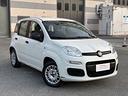 fiat-panda-1-2-benzina-5-posti-euro-6-neopatentati