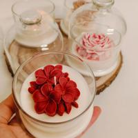 Campana vetro Candela Bomboniera 