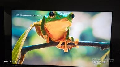 SONY 4K 55" KD-55XH9096