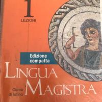 Libri latino liceo scientifico