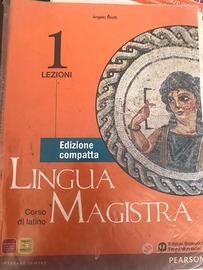 Libri latino liceo scientifico