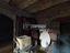 Immagine 26