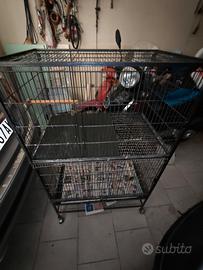 gabbia per pappagalli 