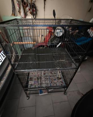 gabbia per pappagalli 