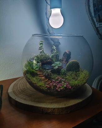 terrario 