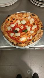 pizzaiolo 