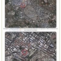 Ufficio Noci [A4346511]