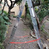 Scala trasformabile tripla