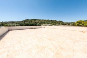 4 LOCALI A VIESTE