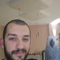 Cenerino piú gabbia