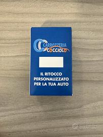 KIT RITOCCO VERNICE PROFESSIONALE