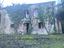 Immagine 27