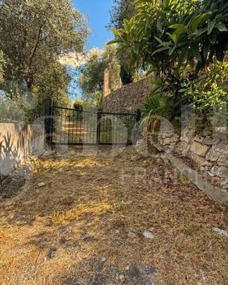 Terreno Agricolo Imperia [Cod. rif 801VRG]