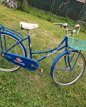 Bicicletta con cestino