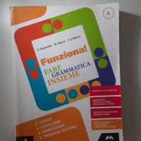 9788883329951 Funziona fare grammatica insieme 
