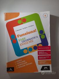 9788883329951 Funziona fare grammatica insieme 