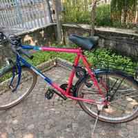 Bicicletta rampichino Thundebird da uomo