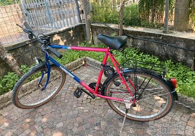 Bicicletta rampichino Thundebird da uomo