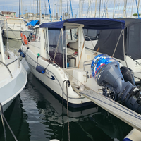 Sessa Dorado 22 Ocean