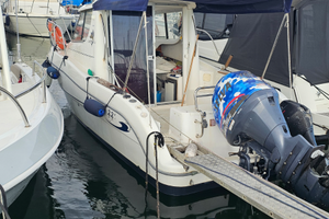 Sessa Dorado 22 Ocean