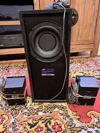 Subwoofer Samsung PS-DW0-2 con 2 altoparlanti