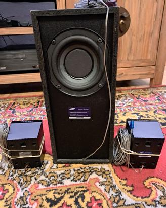 Subwoofer Samsung PS-DW0-2 con 2 altoparlanti